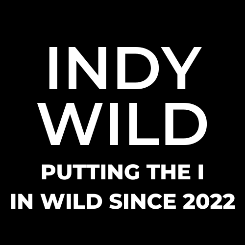 Indy Wild
