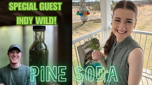 🤯🤯 A DIY carbonated pine soda??