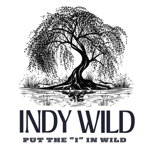 Indy Wild