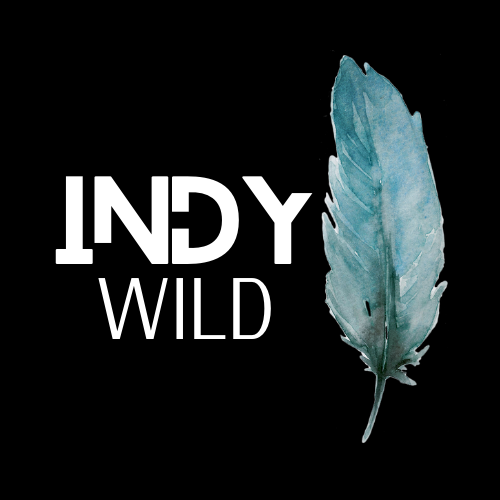 Indy Wild